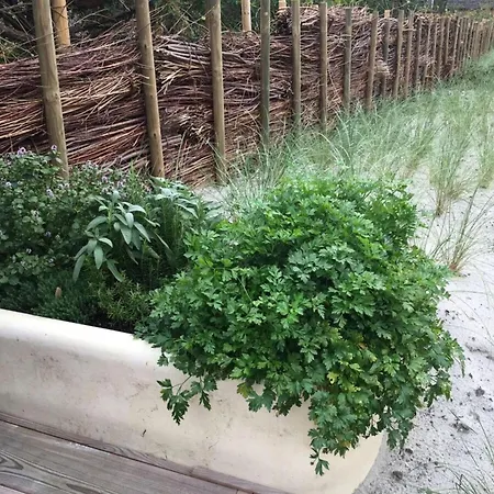 Dom wakacyjny Luxurious No 35 *