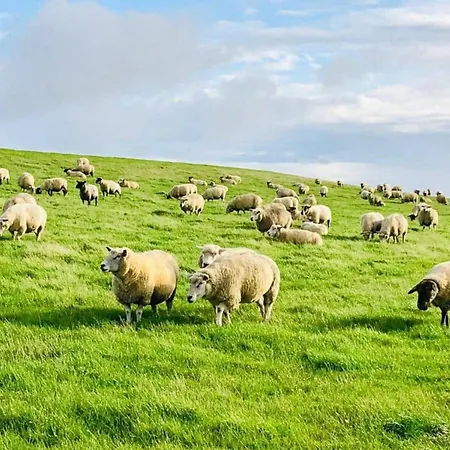 Luxurious No 35 Dom wakacyjny